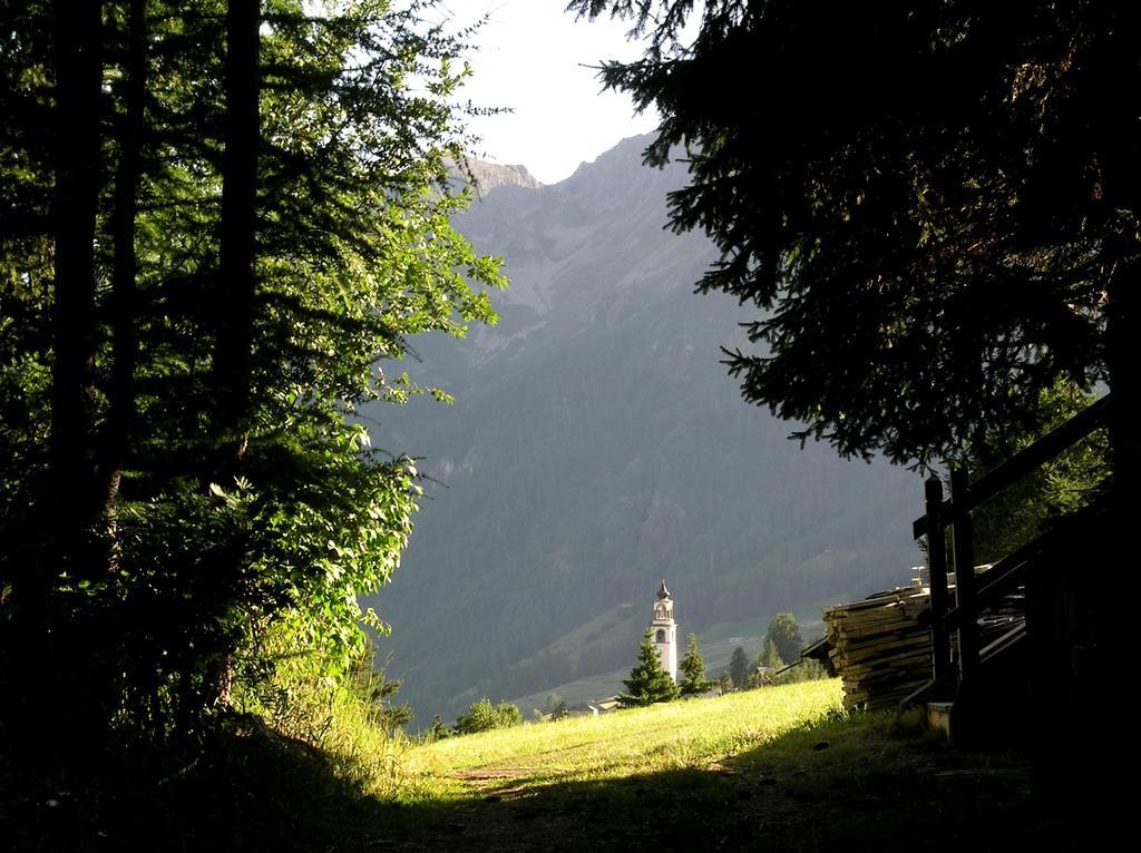 Residence Lo Peyo Champoluc Dış mekan fotoğraf