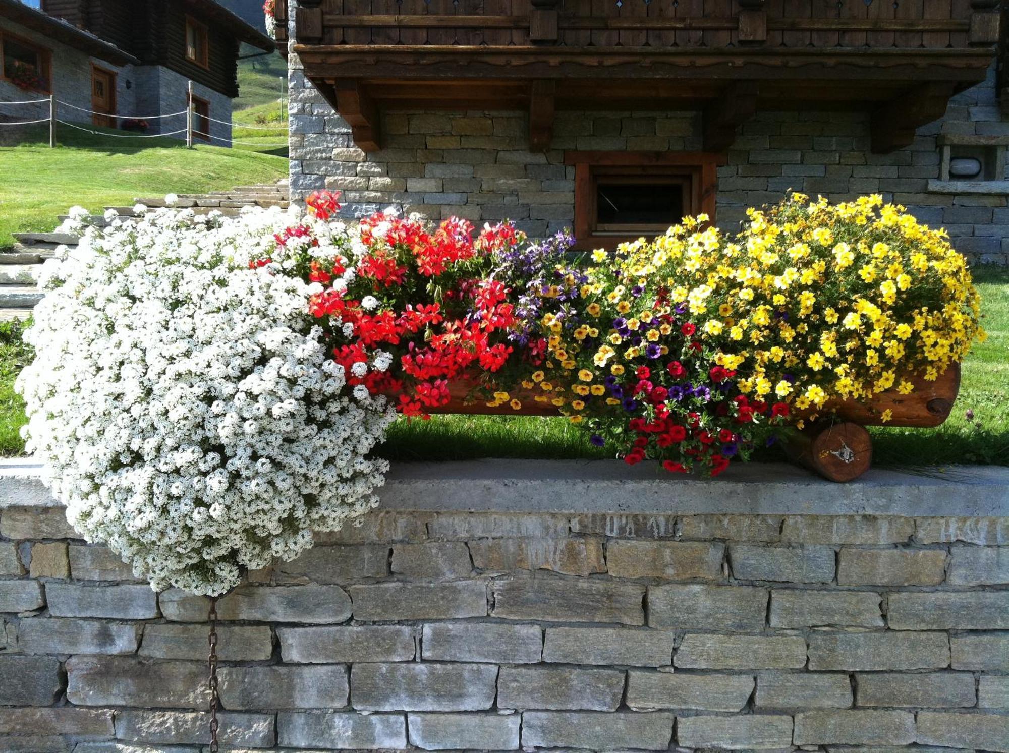 Residence Lo Peyo Champoluc Dış mekan fotoğraf